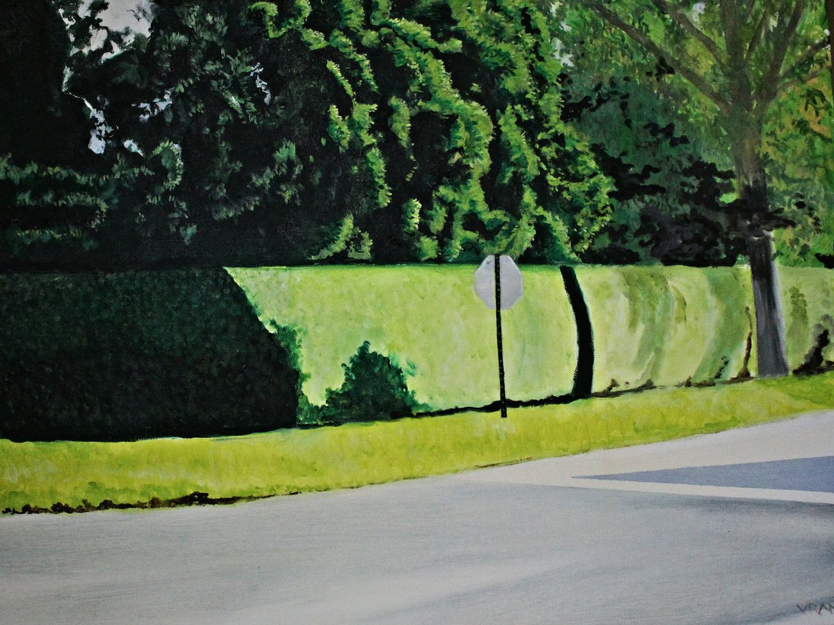 Hedges: The Lawn X by Ken Vrana