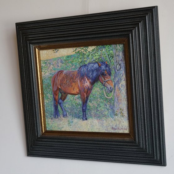 Horse in the shade of trees