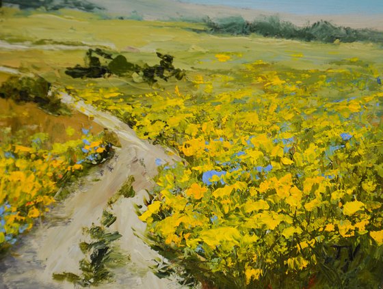 Sunlit Summer Meadow
