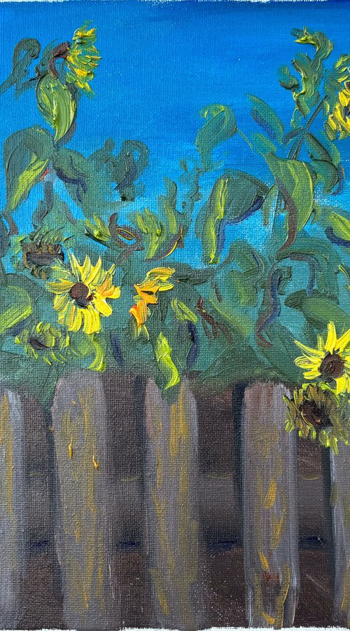 Sunflowers over de fence by Dmitry Fedorov