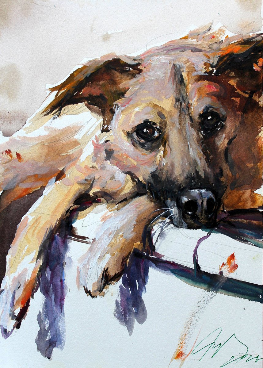 Impressionistic Animal Watercolour By Maximo Damico, 8 X 11", Kamila Portrait, Original Artwork