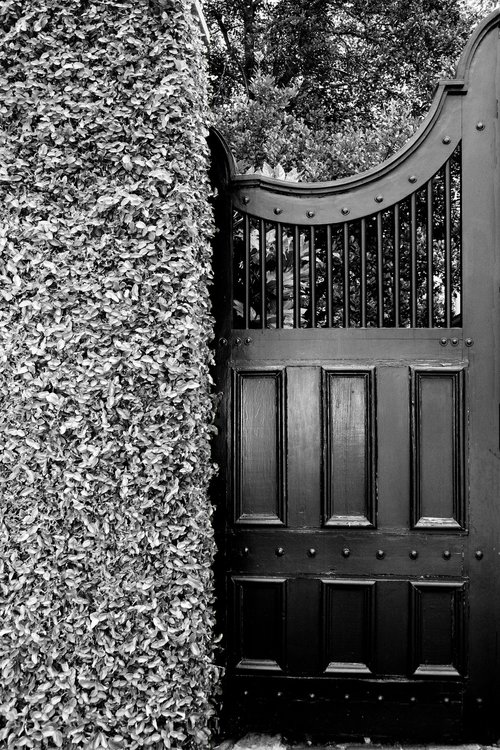 THE NEIGHBOURHOODS GATE Charleston SC by William Dey