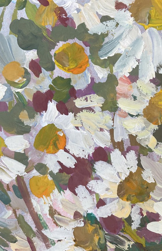 Camomile