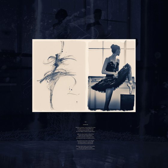 Life En Pointe XVI
