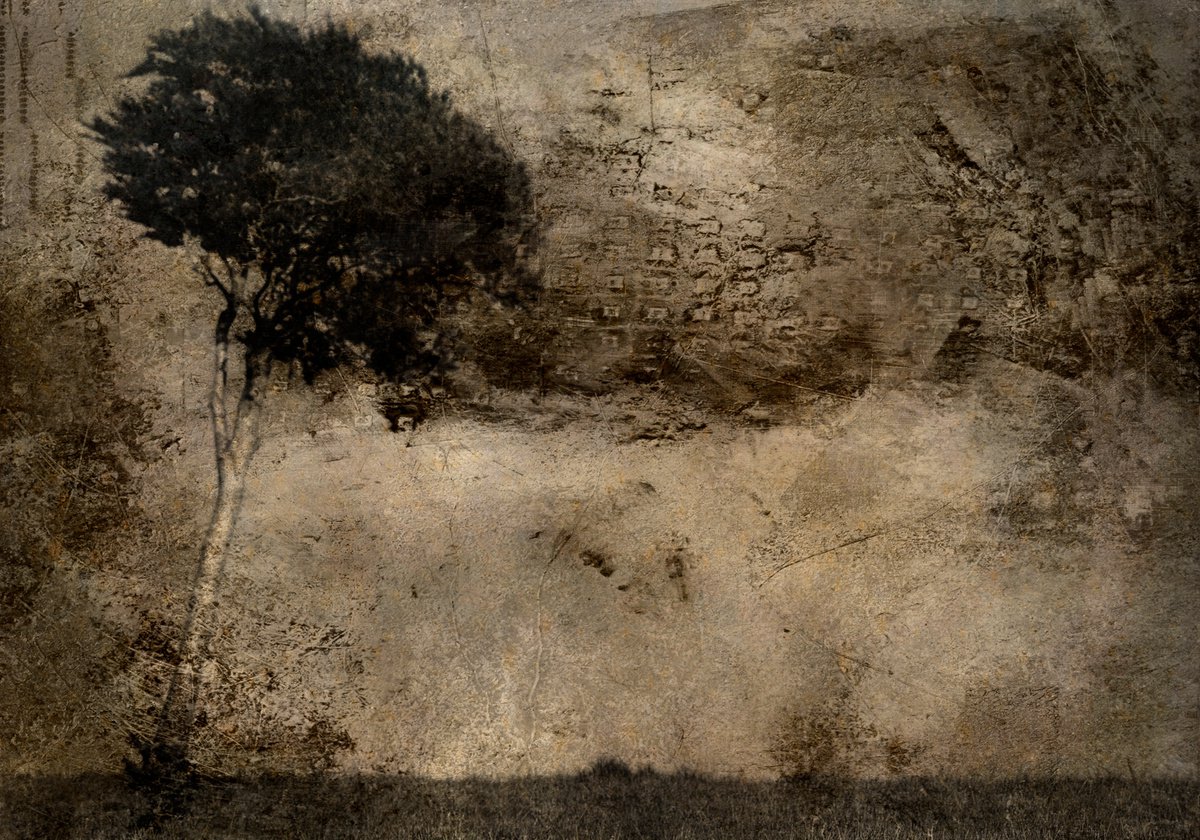 Landscape Photograph By Claire Newman-Williams, 24 X 18, Witness, Original Artwork