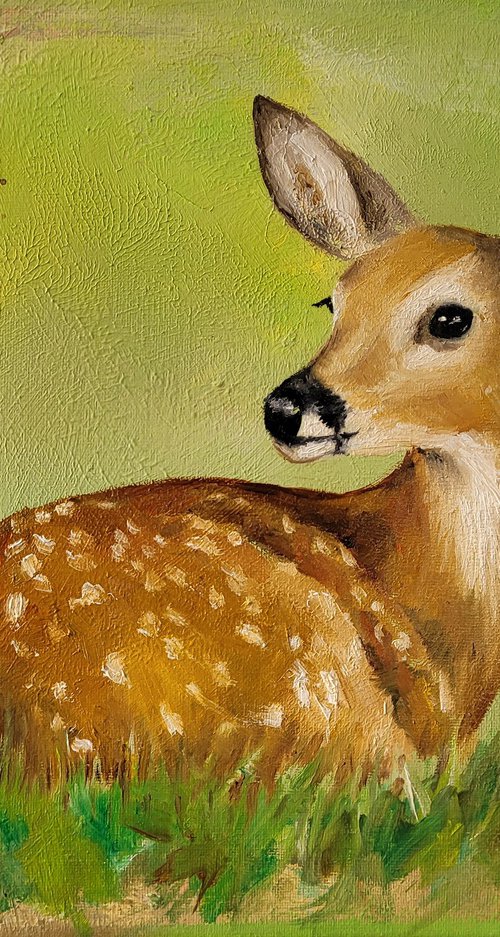 Bambi lies in the grass by Lisa Braun