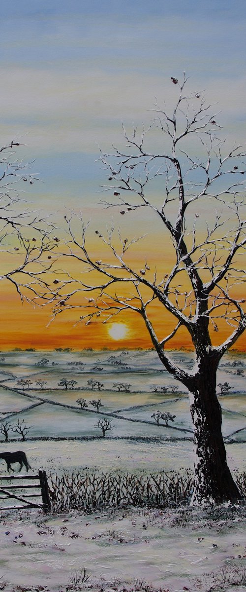 Winter Sunset by Hazel Thomson