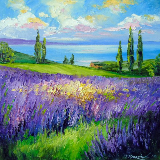 Lavender field