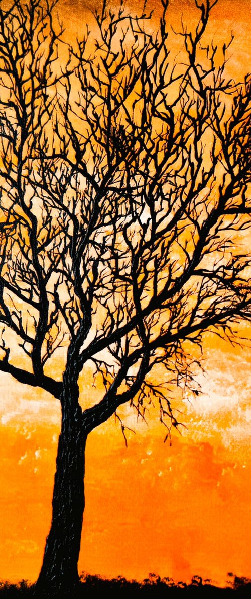 Orange sunset by Daniel Urbaník