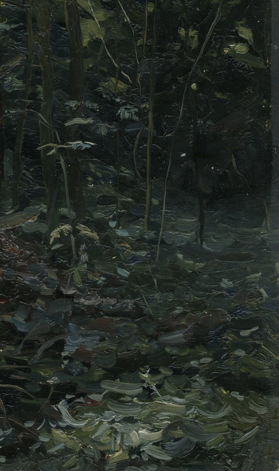 Forest. Fir-tree. Karmanovo