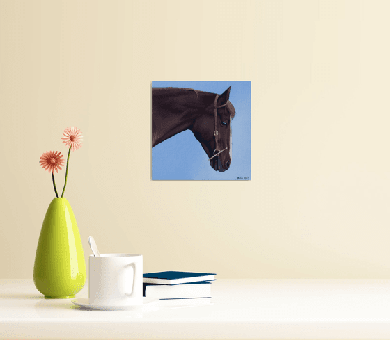 Horse Portrait 74