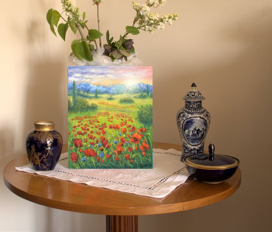 Poppy field in summer