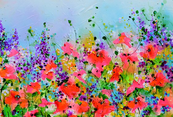 Wild Red Poppy, Poppies Field
