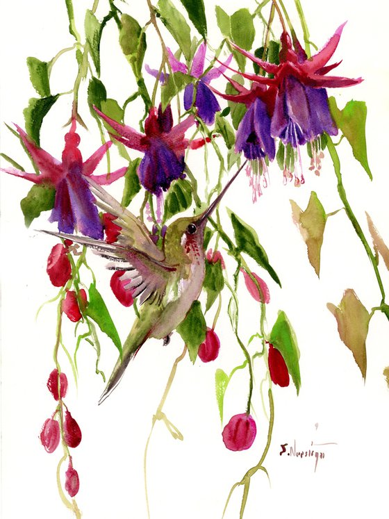 Fuchsia and Hummingbird