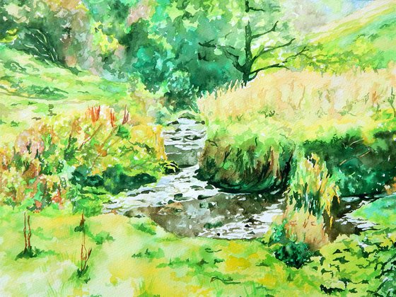 Freshwater stream watercolour