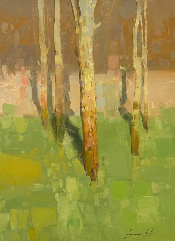 Birches Trees