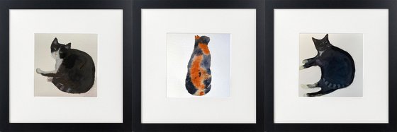 Three cats framed
