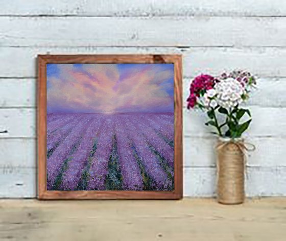 The lavender field.
