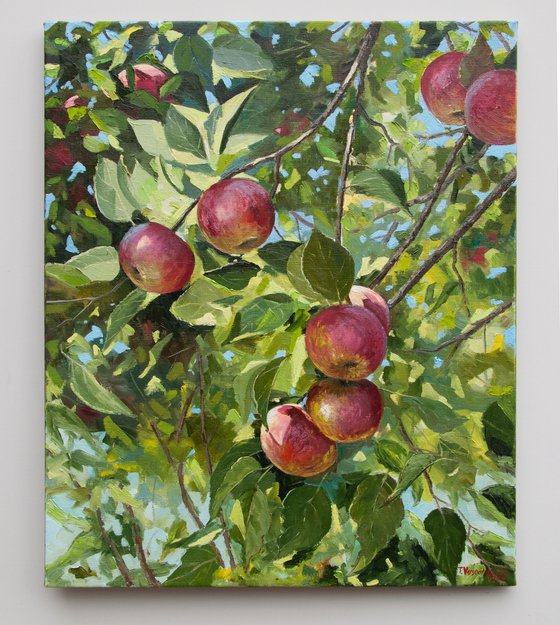Apples. Oil painting. Original Art. 20 x 24in