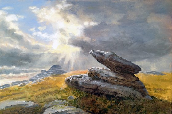 Rabbit Rock, Belstone Tor, Dartmoor