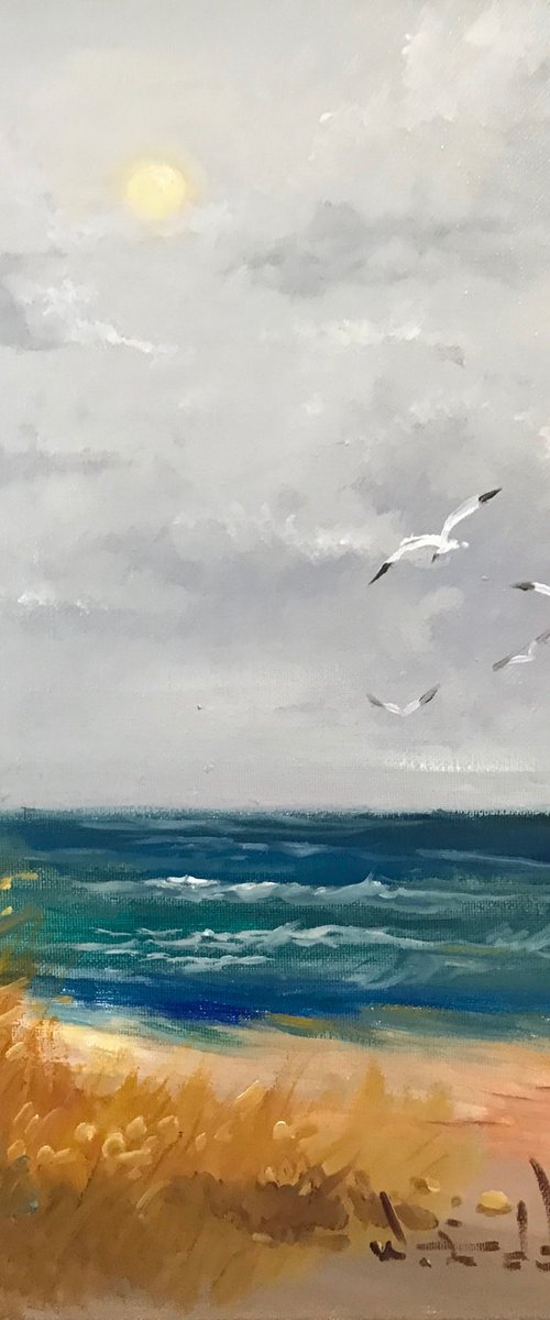 Sunshine beach by W. Eddie