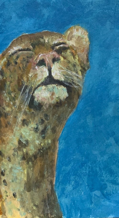 Leopard by Ryan  Louder