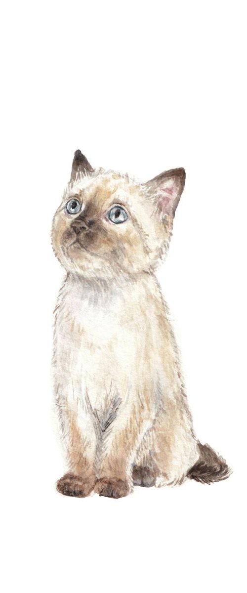 Siamese Cat Original Watercolor by Lauren Rogoff