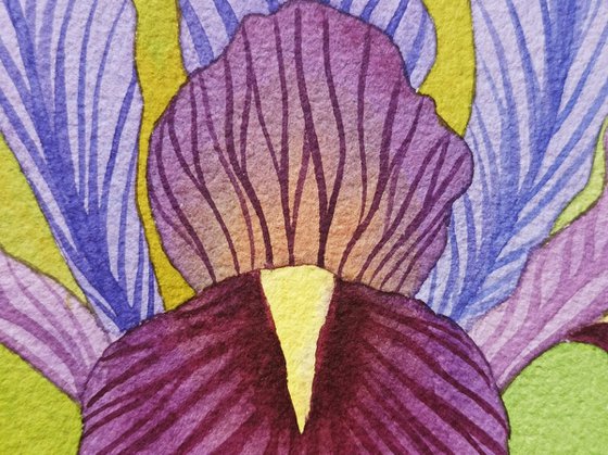 Tropical Eden n.6 - Iris