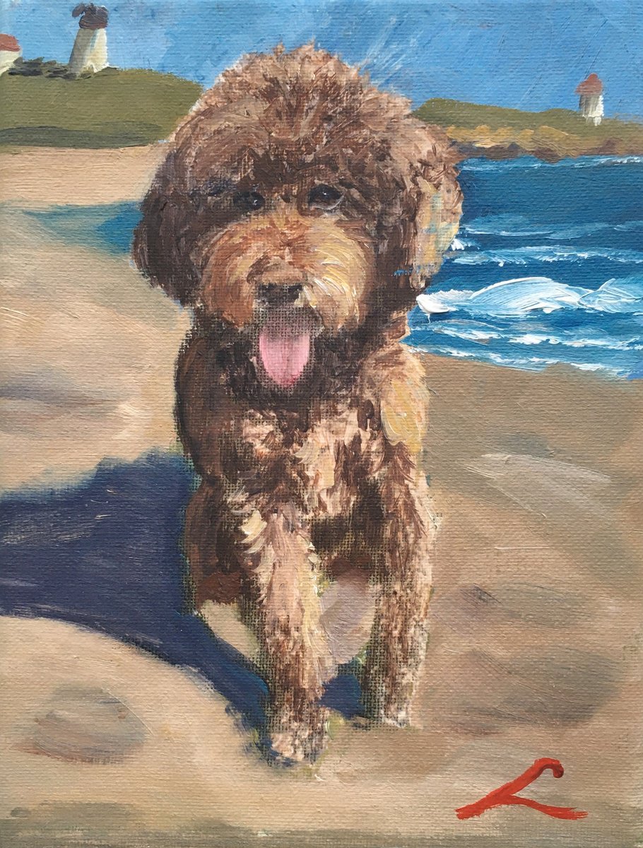 Impressionistic Animal Oil Painting By Elena Sokolova, 7 X 9, Coastal Scene With A Dog, Original Artwork