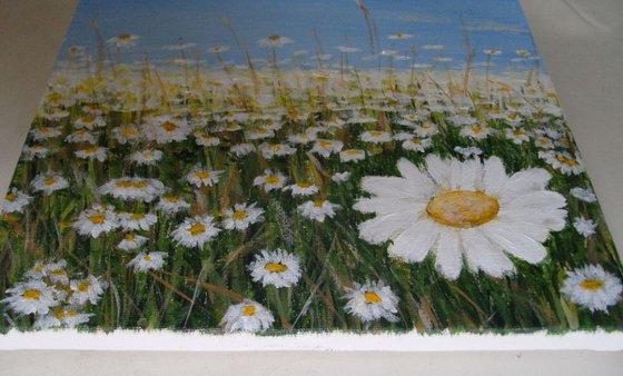 Daisies In The Field - SOLD