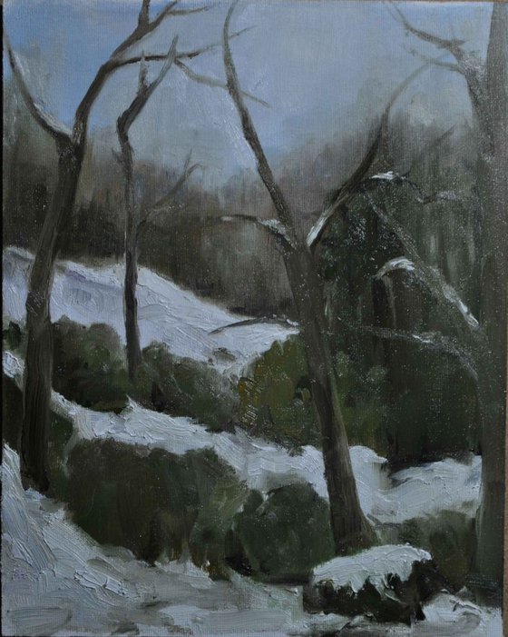 Winter at Smith’s Hollow