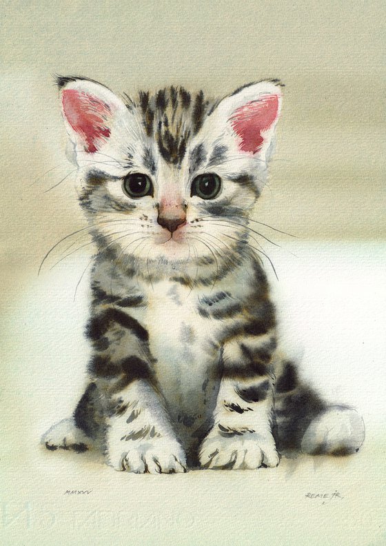 Kitten III