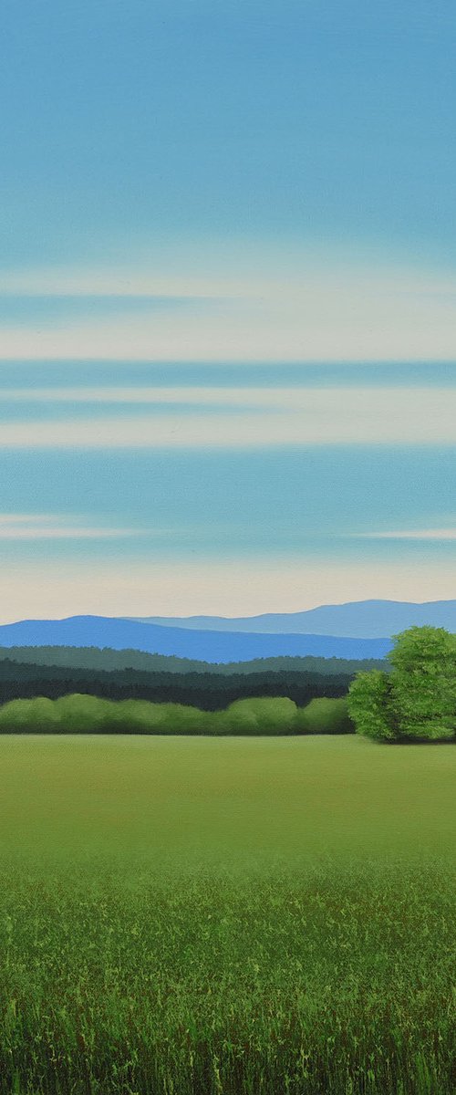 Summer Green Field - Blue Sky by Suzanne Vaughan