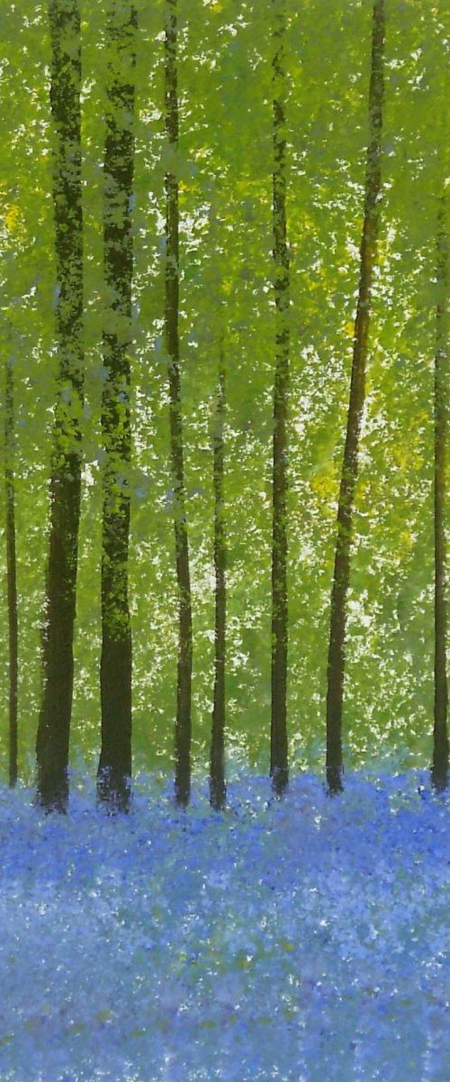 Bluebell Woods 5 by Jan Rippingham