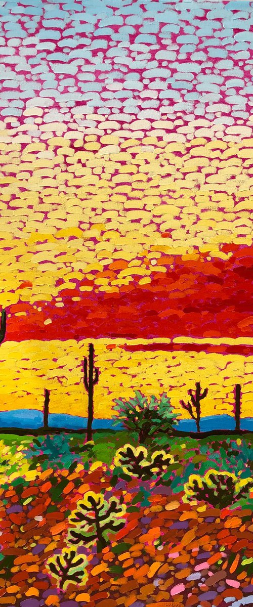 Colourful desert by Volodymyr Smoliak