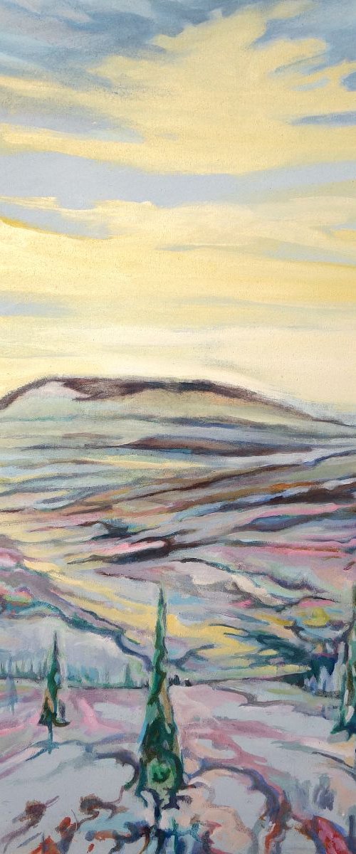 High pines by Guy  Pickford