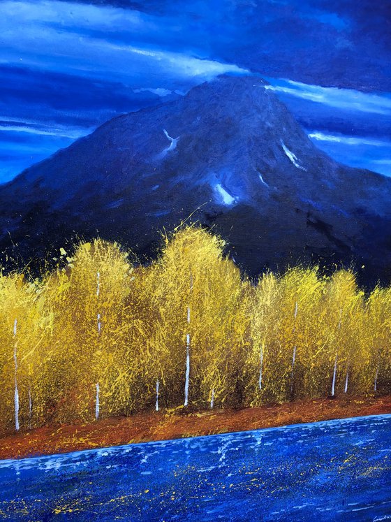 Golden aspens Forest