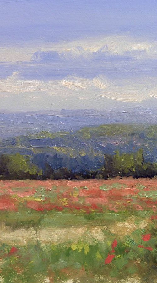 Field with Poppies by Pascal Giroud