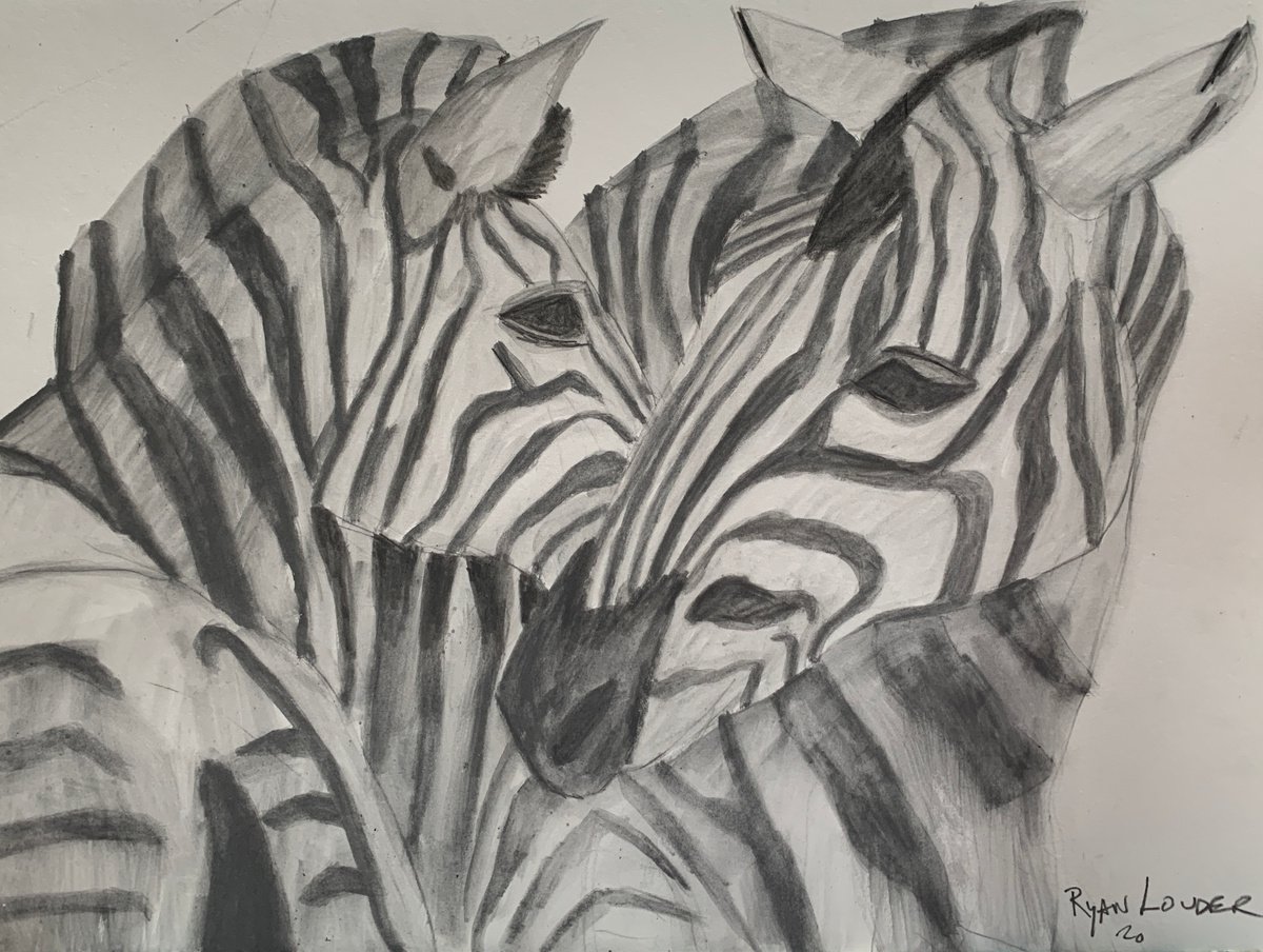 Two Zebras by Ryan  Louder