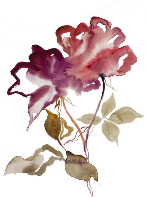 Rose Study No. 52 by Elizabeth Becker
