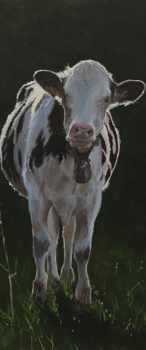 Swiss Holstein Cow by Tom Clay