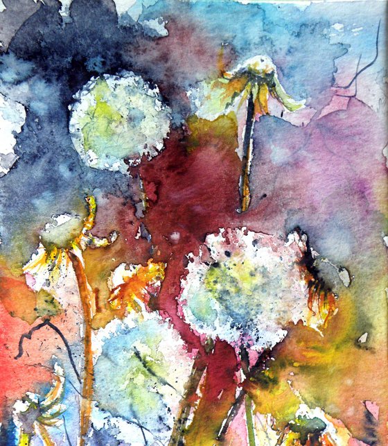 Dandelion