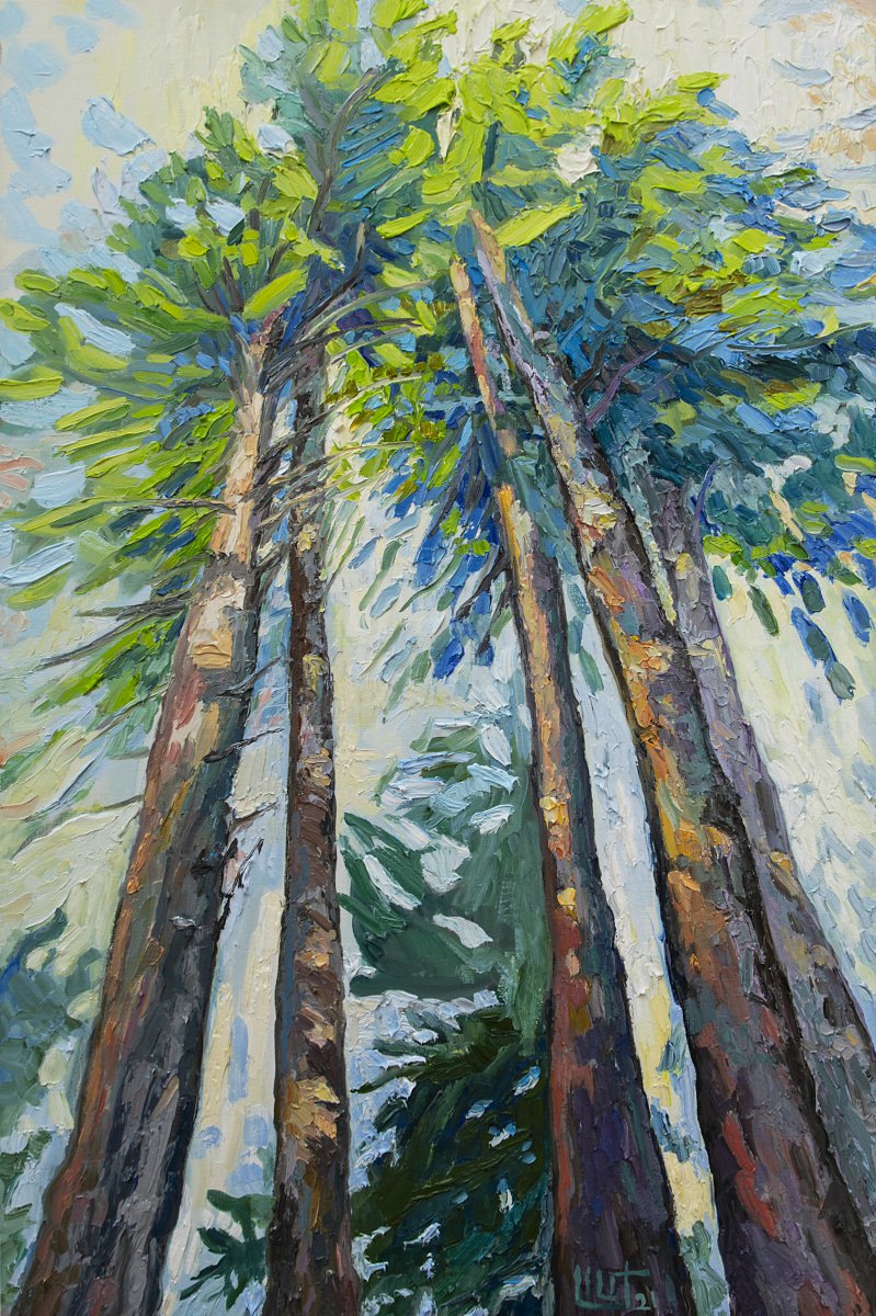 Pine trees by Lilit Vardanyan