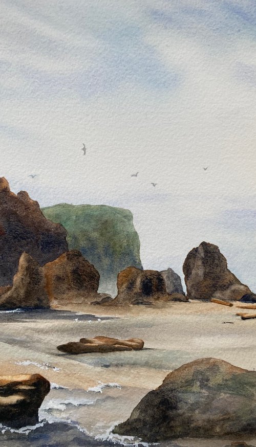 Cliff walk by Silvie Wright