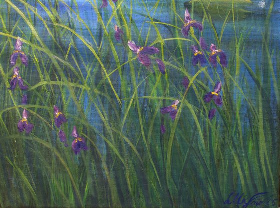 Serene lily pond