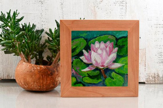 Water Lily