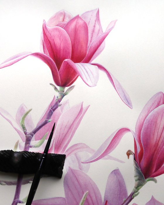 Magnolia Breath