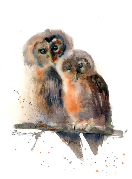 Couple of owl