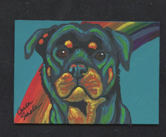 Rainbow Rottweiler