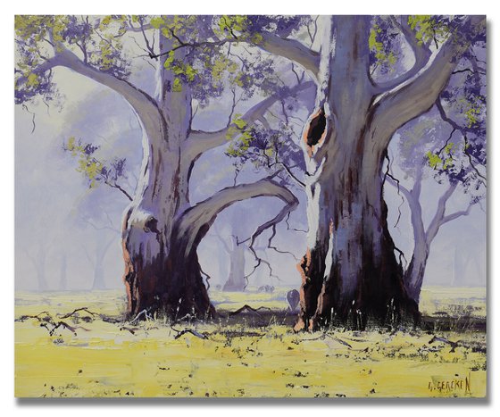 Australian Gum tree Landscape